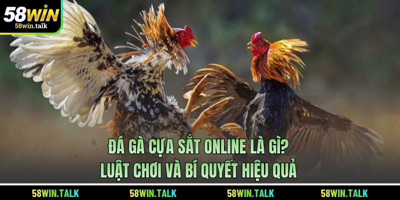 Đá Gà Cựa Sắt Online Là Gì? Luật Chơi Và Bí Quyết Hiệu Quả