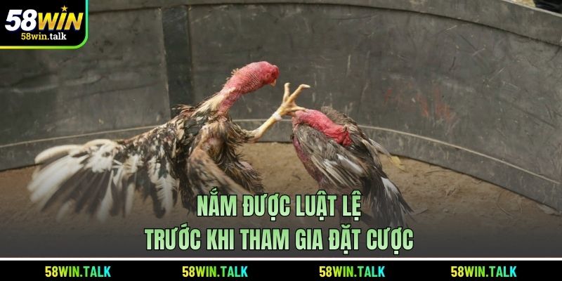 Nắm được luật lê trước khi tham gia đặt cược